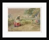 Cotton cultivation in India by William Simpson