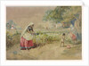 Cotton cultivation in India by William Simpson