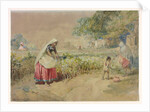 Cotton cultivation in India by William Simpson