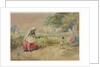 Cotton cultivation in India by William Simpson