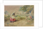 Cotton cultivation in India by William Simpson