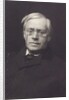 Reverend Barry O'Brien by Frederick Hollyer