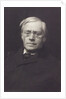 Reverend Barry O'Brien by Frederick Hollyer