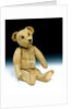 Teddy Bear by Ideal Bear Company