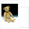 Teddy Bear by Ideal Bear Company
