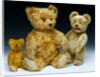 Three teddy bears by Shuco
