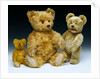 Three teddy bears by Shuco