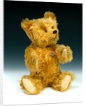 Yes/No teddy bear by Shuco