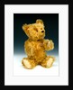 Yes/No teddy bear by Shuco