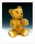 Yes/No teddy bear by Shuco