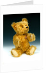 Yes/No teddy bear by Shuco