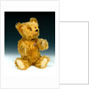 Yes/No teddy bear by Shuco