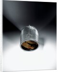 Dojoji Temple bell by Unryuan