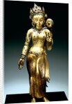 Buddhist Goddess Sitara. Nepal, 14th century by Unknown