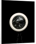Netsuke by Unknown