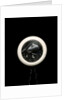 Netsuke by Unknown
