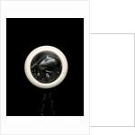 Netsuke by Unknown