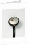 Netsuke Kagamibuta Mirror Plate by Unknown