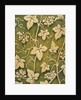 Furnishing fabric by Mariano Fortuny