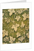 Furnishing fabric by Mariano Fortuny