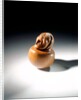 Netsuke by Sukenaga