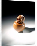 Netsuke by Sukenaga