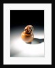 Netsuke by Sukenaga