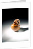 Netsuke by Sukenaga
