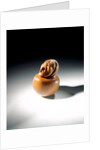Netsuke by Sukenaga