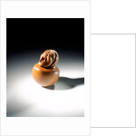 Netsuke by Sukenaga