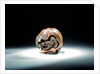 Netsuke by Toyokazu