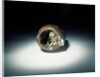 Netsuke by Ohara Mitsuhiro & Kaigyokusai Masatsugu