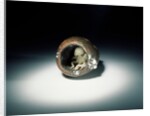 Netsuke by Ohara Mitsuhiro & Kaigyokusai Masatsugu