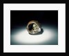 Netsuke by Ohara Mitsuhiro & Kaigyokusai Masatsugu