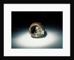 Netsuke by Ohara Mitsuhiro & Kaigyokusai Masatsugu