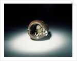 Netsuke by Ohara Mitsuhiro & Kaigyokusai Masatsugu