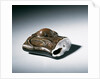 Netsuke by Ogawa Haritsu