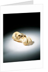 Netsuke by Unknown