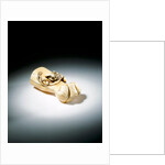 Netsuke by Unknown