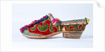 Woman's Shoe by Unknown