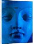 Head of The Buddha, Bodhisattva. Hadda, Afghanistan, 4th-5th century by Unknown