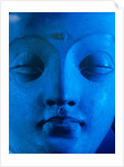 Head of The Buddha, Bodhisattva. Hadda, Afghanistan, 4th-5th century by Unknown