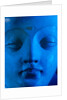 Head of The Buddha, Bodhisattva. Hadda, Afghanistan, 4th-5th century by Unknown