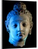 Head of The Buddha, Bodhisattva. Hadda, Afghanistan, 4th-5th century by Unknown