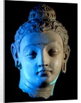 Head of The Buddha, Bodhisattva. Hadda, Afghanistan, 4th-5th century by Unknown