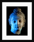 Head of The Buddha, Bodhisattva. Hadda, Afghanistan, 4th-5th century by Unknown