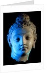 Head of The Buddha, Bodhisattva. Hadda, Afghanistan, 4th-5th century by Unknown