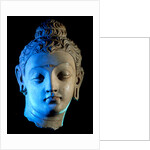 Head of The Buddha, Bodhisattva. Hadda, Afghanistan, 4th-5th century by Unknown