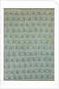 Roller Blind by Augustus Welby Northmore Pugin