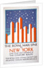 The Royal Mail Line to New York by Horace Taylor